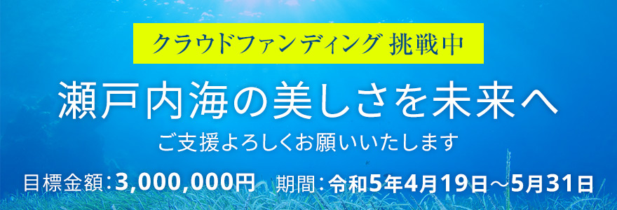 海の未来を備前から変える｜美しい瀬戸内海を子どもたちに残したい